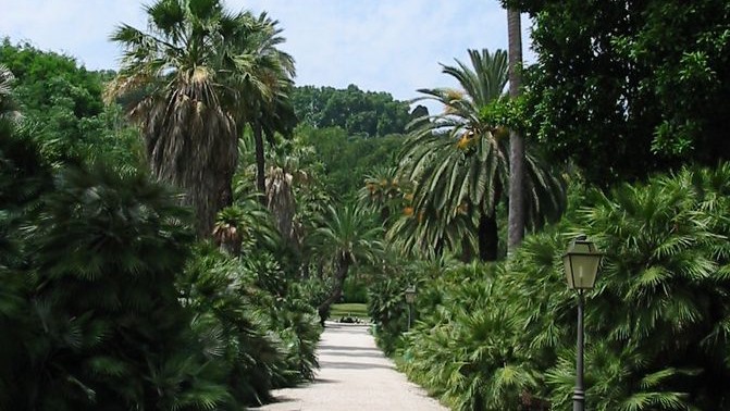 Jardín Botánico de Roma | Orto Botanico