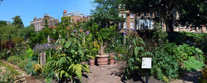 Chelsea Physic Garden