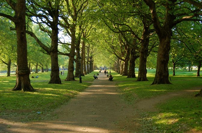 visit green park