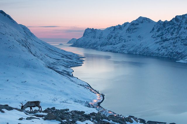 La localidad de Ersfjordbotn