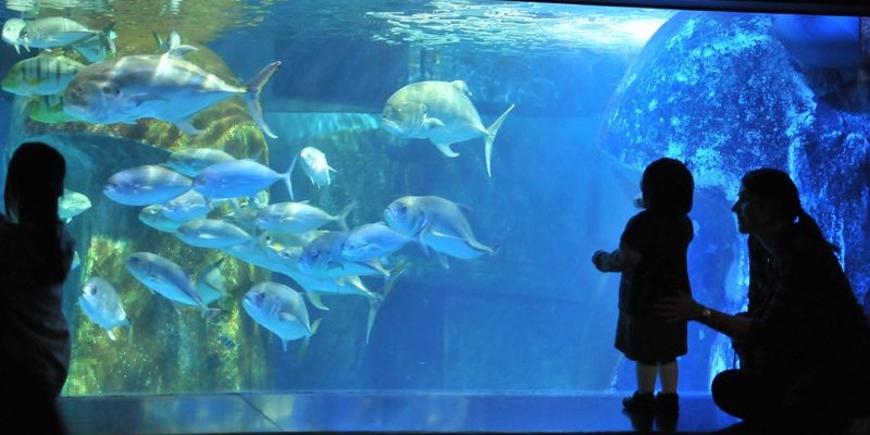 Sea Life London Aquarium