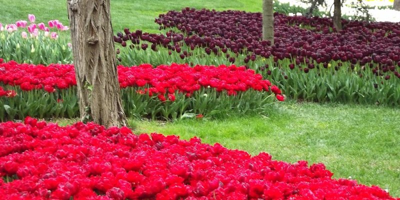 Parque Emirgan, Estambul